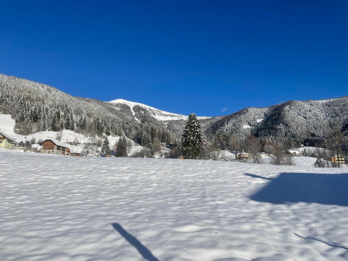 Haus Alina Villa Arriach Kültér fotó